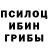 Галлюциногенные грибы GOLDEN TEACHER Freddie Garcia