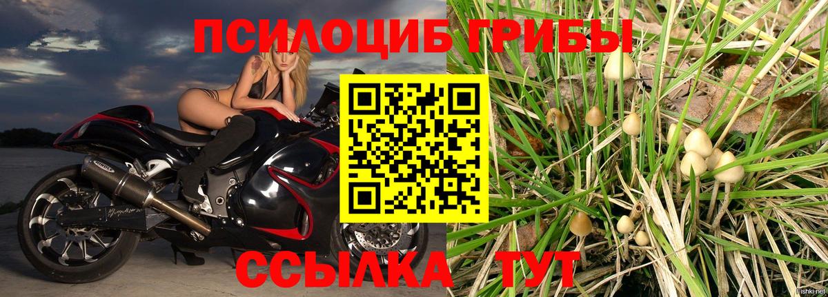 Галлюциногенные грибы Cubensis Борисоглебск